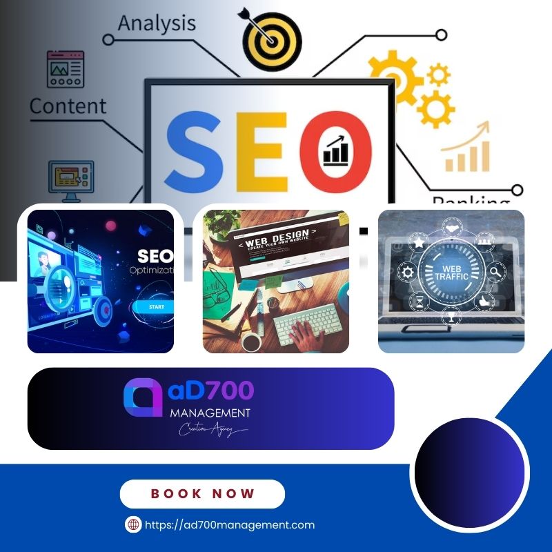 Gestión Seo En Andorra | Ad700Management